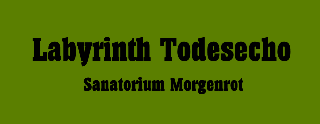 Todesecho - Das Psycho-Labyrinth